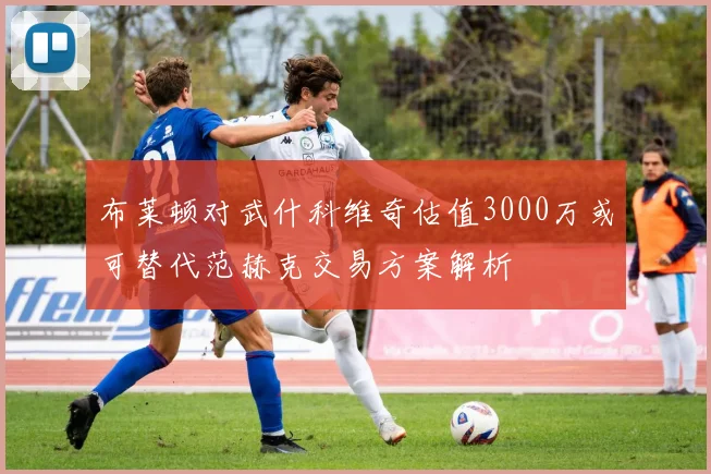 布莱顿对武什科维奇估值3000万或可替代范赫克交易方案解析